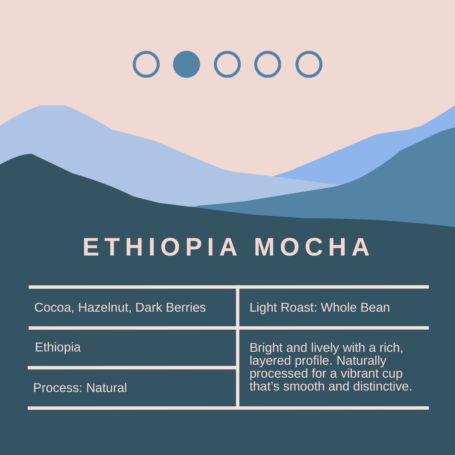 Ethiopia Mocha Coffee Beans - Light Roast - 1Kg